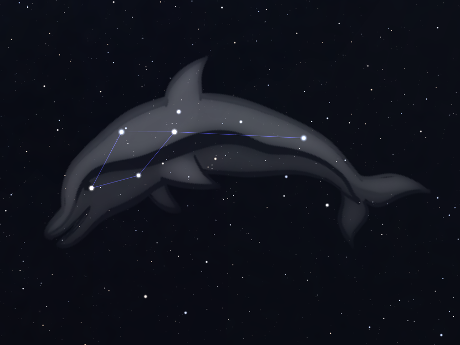 Costellazione Delfino