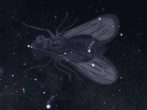 Costellazione Mosca