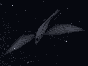 Costellazione Pesce Volante