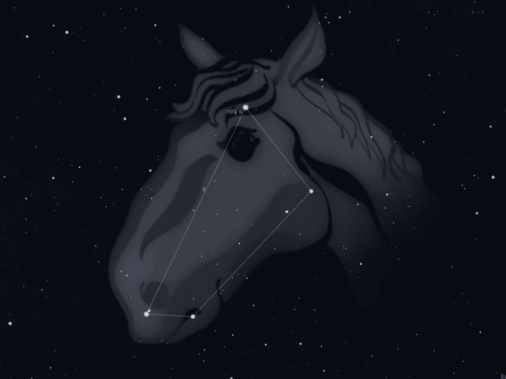 Costellazione Cavallo