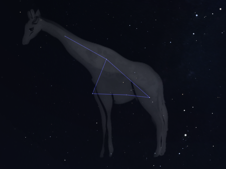 Costellazione Giraffa
