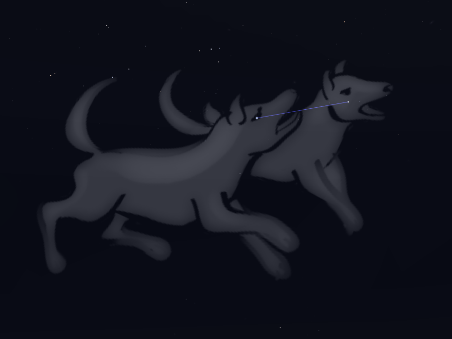 Costellazione dei Cani da caccia