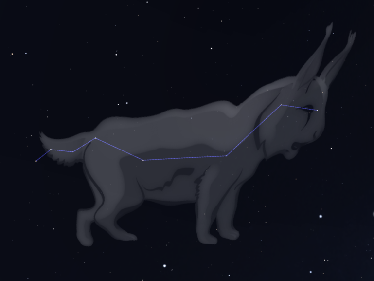 Costellazione Lince