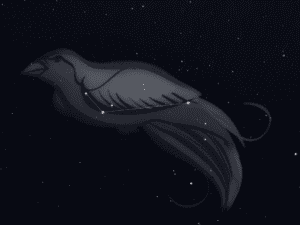 Costellazione Uccello del Paradiso