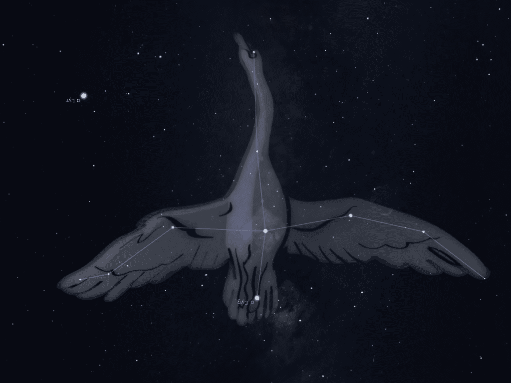 Costellazione Cigno