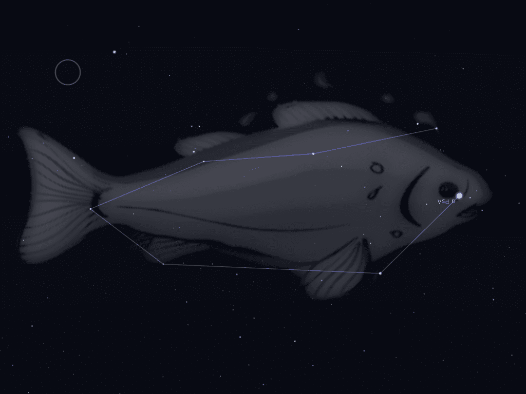 Costellazione Pesce Australe