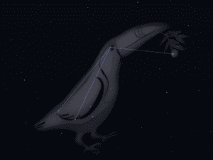 Costellazione Tucano