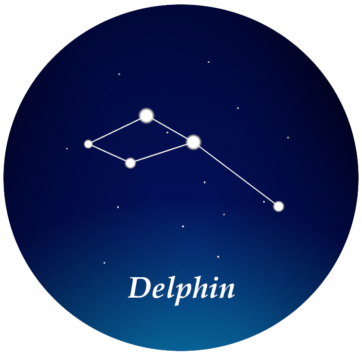 Costellazione Delfino