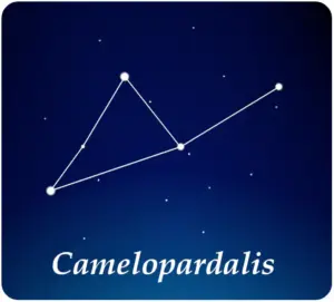 Costellazione Giraffa