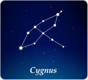 Costellazione Cigno
