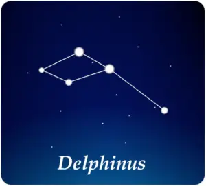 Costellazione Delfino