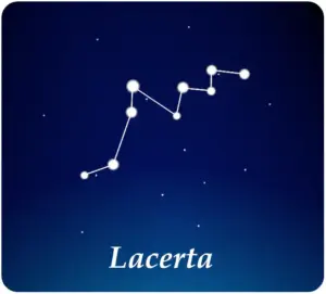Costellazione della Lucertola